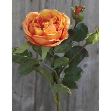 Rosa centifolia artificiale OLIVERA, arancione, 30cm, Ø9cm