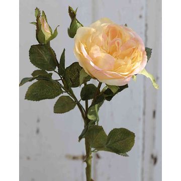 Rosa centifolia artificiale OLIVERA, giallo-albicocca, 30cm, Ø9cm