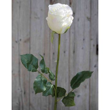 Rosa artificiale OPHELIE, crema-rosa, 85cm, Ø7cm