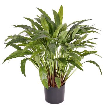 Acquistare calathea artificiale nel negozio online di artplants