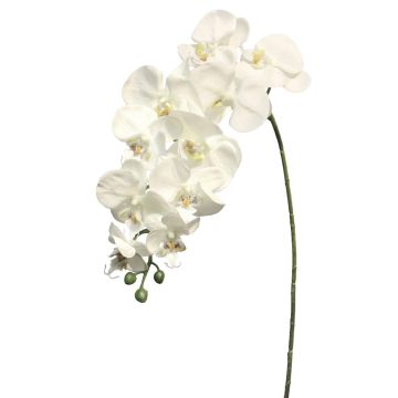 Ramo artificiale di orchidea Phalaenopsis JUANRU, bianco, 100 cm