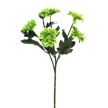 Ramo di crisantemo artificiale LONGBAO, verde, 60 cm