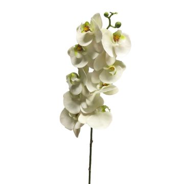 Ramo artificiale di orchidea Phalaenopsis SONGYA, bianco, 105 cm