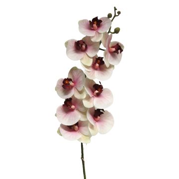 Ramo artificiale di orchidea Phalaenopsis SONGYA, rosa-crema, 105 cm