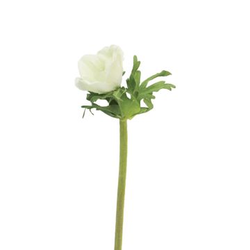 Anemone artificiale BOYANG, bianco, 35 cm