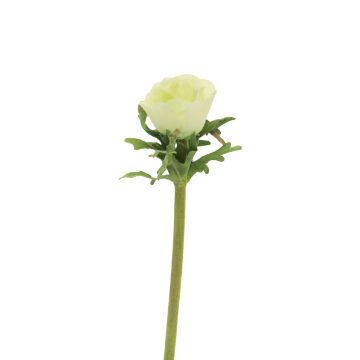 Anemone artificiale BOYANG, verde chiaro, 35 cm