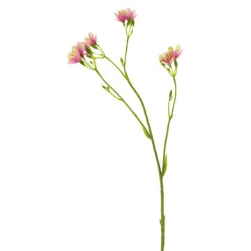 Ramo decorativo di petunia YAWEI, rosa-crema, 60 cm