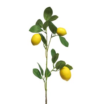 Ramo decorativo di limone XIALIN con frutti, giallo, 75cm