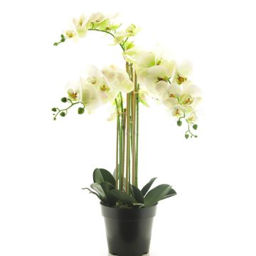 Orchidea Phalaenopsis artificiale CHENXU, bianco, 60 cm