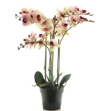 Orchidea Phalaenopsis artificiale CHENXU, rosa-crema, 60 cm