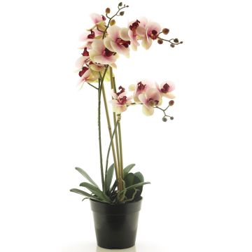 Orchidea Phalaenopsis artificiale CHENXU, rosa-crema, 55 cm