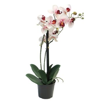 Orchidea Phalaenopsis artificiale CHENXU, rosa-crema, 50 cm