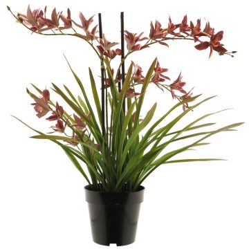 Orchidea Cymbidum artificiale XINGUI, rosso scuro, 70 cm