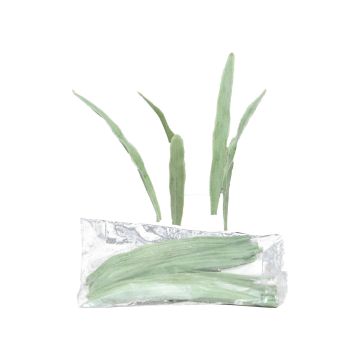 Cannuccia di palude artificiale YAMIAN, 36 pezzi, verde-bianco, 15 cm