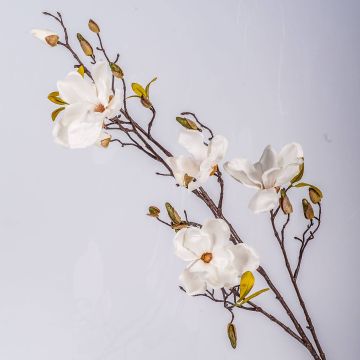 Ramo di magnolia artificiale LILO, crema, 110cm, Ø5-9cm