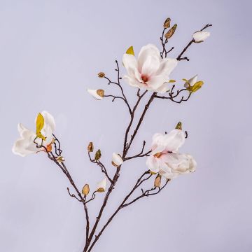 Ramo di magnolia artificiale LILO, bianco-rosa, 110cm, Ø5-9cm