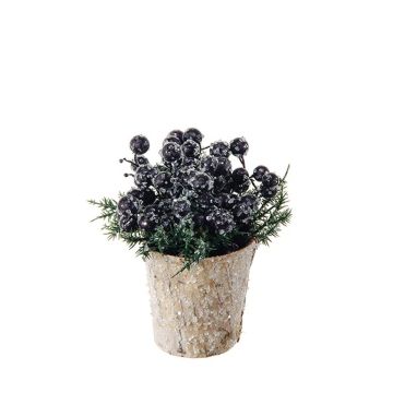 Composizione artificiale aronia, pino ZENSA, vaso decorativo, nero, 13cm, Ø12cm