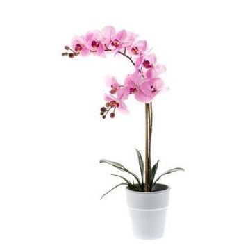 Orchidea finta CANDIDA in vaso di ceramica, rosa, 65cm, Ø7-8cm