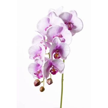 Acquistare orchidea artificiale nel negozio online di artplants