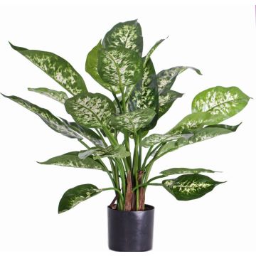 Dieffenbachia artificiale DILLA, verde-bianco, 50cm