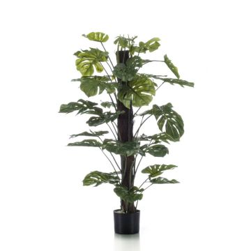 Filodendro monstera deliciosa artificiale LASO, 120cm