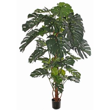 Monstera deliciosa artificiale CHORA, 190cm