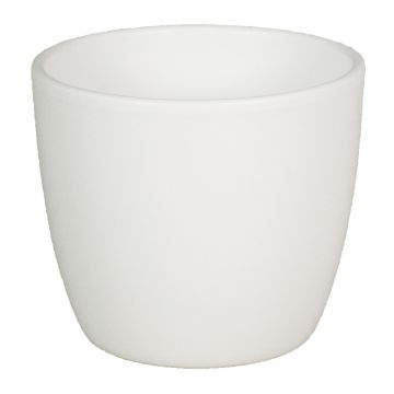 Vaso per piante in ceramica TEHERAN BASAR, bianco-opaco, 12cm, Ø13,5cm