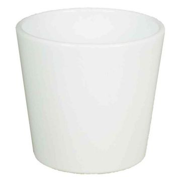 Vaso in ceramica per orchidee BANEH, bianco, 12,5cm, Ø13,5cm