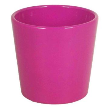 Vaso in ceramica per orchidee BANEH, fucsia, 12,5cm, Ø13,5cm