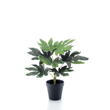 Pianta artificiale di aralia TEULADA, verde, 30cm