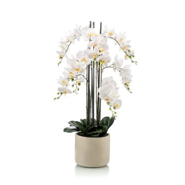 Orchidea phalaenopsis finta CECILE, vaso di ceramica, bianco, 100cm