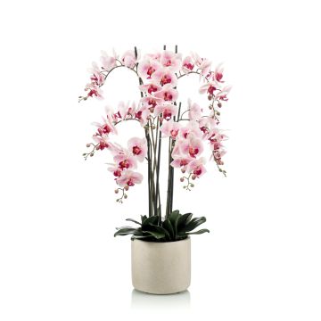 Orchidea phalaenopsis finta CECILE, vaso di ceramica, rosa-fuchsia, 100cm