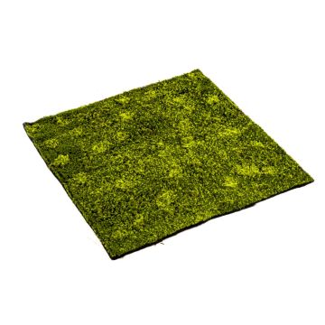 Tappeto artificiale di muschio hypnum FERMIN, verde, 100x100cm