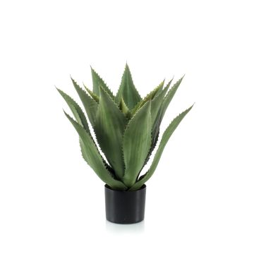 Agave finto FERNANDA, verde, 55cm