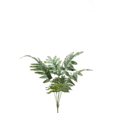 Phlebodium aureum artificiale SCORPI su stelo, verde-grigio, 65cm