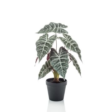 Alocasia Sanderiana artificiale UTHER, verde-bianco, 40cm