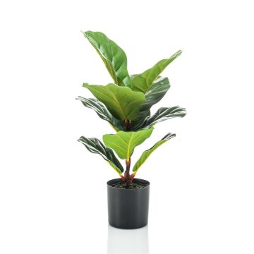 Ficus Lyrata artificiale EMILIANA, verde, 55cm