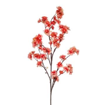 Ramo decorativo di fiori di ciliegio GIMA con fiori, corallo, 120cm