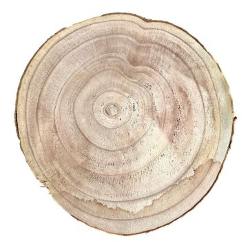 Fetta di legno paulownia JESSALYN, naturale, Ø25-27cm