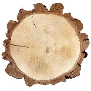 Fetta di legno di betulla MORGANIE, naturale, Ø34-47cm