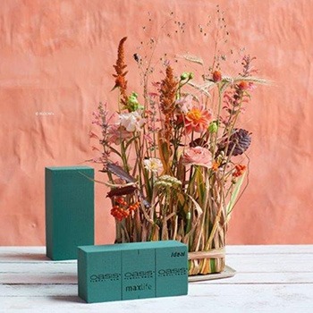 Schiuma per fiori